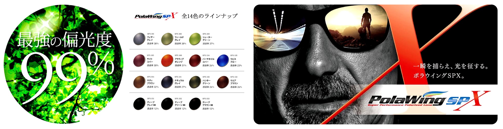ポラウィング